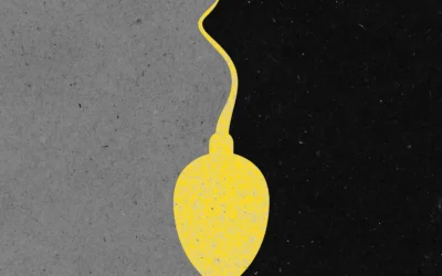 The sperm donor loophole that led to 27 half-siblings – The Age 20.07.25