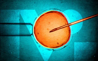 Victoria has had a new IVF watchdog for six months. So far, it has not taken any action : The Age 30.06.25