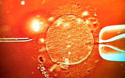 Sperm from cancer-risk donor used to conceive at least 67 children across Europe