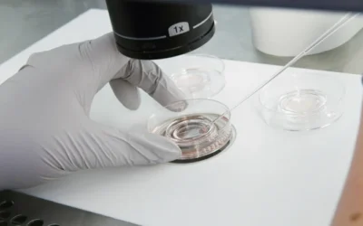 Opinion Our fertility industry is a mess. As a donor, I know what could fix it – SMH 21.06.25