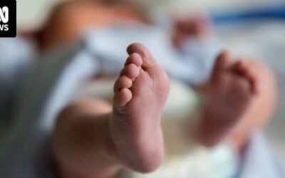 Couple who allegedly used overseas surrogate for baby won’t be charged – ABC News 21.06.25