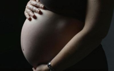 Monash IVF Brisbane clinic apologises for implanting wrong embryo in patient – 10 Apr 2025