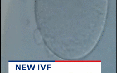 Groundbreaking IVF method uses stem cells to grow eggs in a dish outside of a woman’s body 12 May 2025