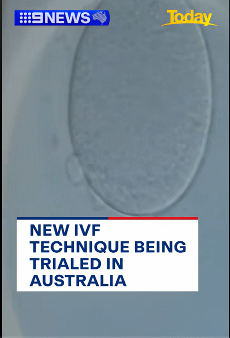 Groundbreaking IVF method uses stem cells to grow eggs in a dish outside of a woman’s body 12 May 2025