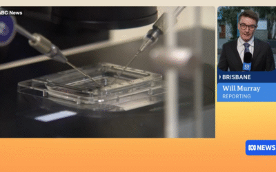 More IVF families are considering to ensure babies are their own after Monash baby bungles